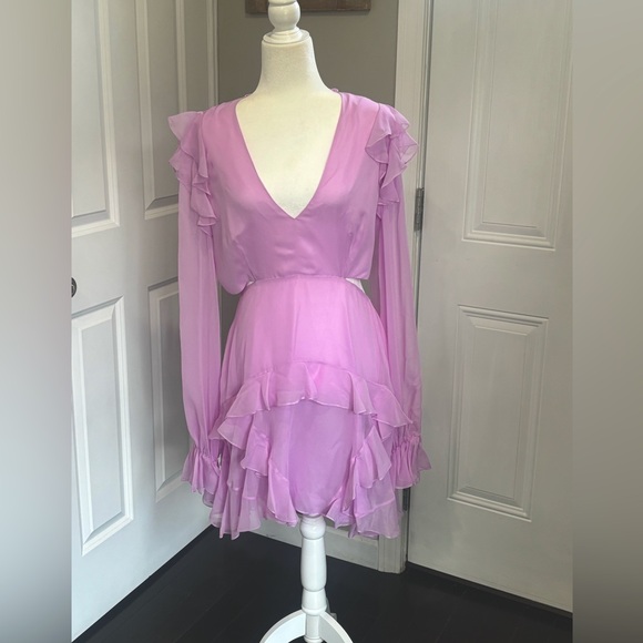 Angelance New York Silk Chiffon Dress - Picture 3 of 14